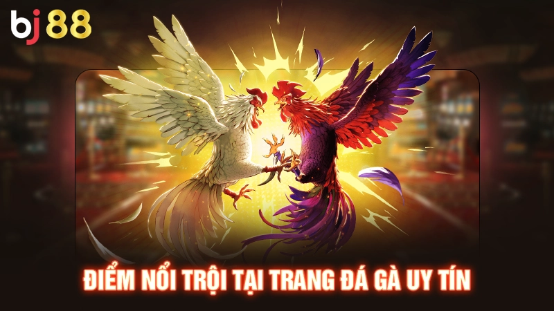 Trang đá gà uy tín thành toán siêu tốc